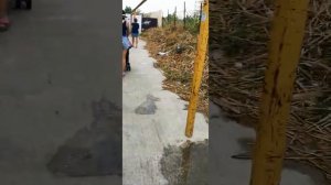 Джемете Анапа Дорога к морю от гостевого дома Карамель