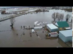 Бурундуки потоп, Кайбицкий район