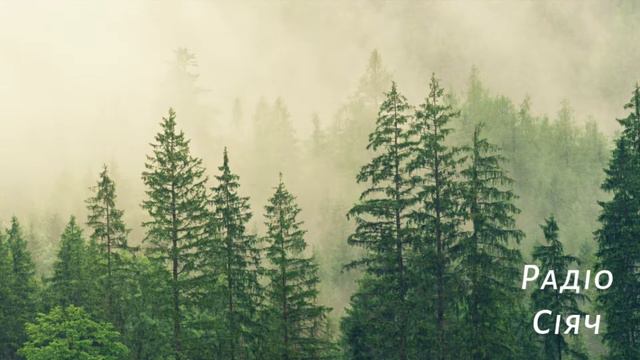Конец света PART 3  расказ Вознесение   Радіо Сіяч