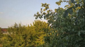 Народные приметы про одежду. Народные приметы и поверья