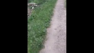 Поиск прорыва водной магистрали