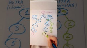 Уроки на салфетках ч 1/ Как правильно строить структуру в Атоми ( для новичков)