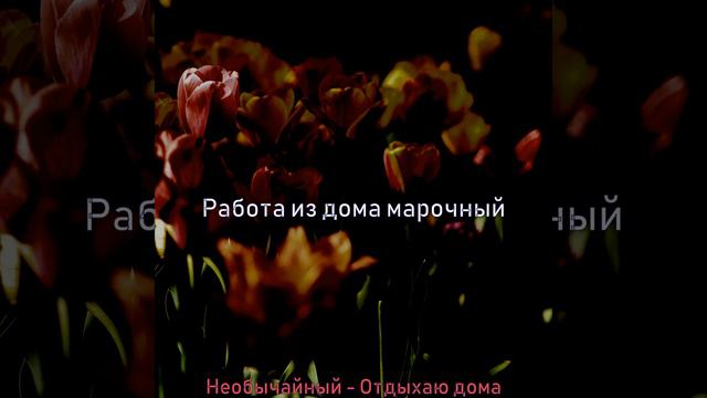 Загадочный Эхо Отдыхаю дома смотреть онлайн