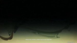 Genshin Impact 8.6 (часть 1)