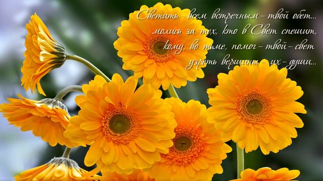 Милым женщинам!