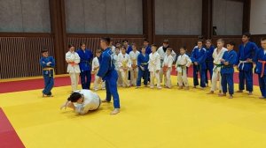 Задняя подножка в комбинации. Дзюдо.