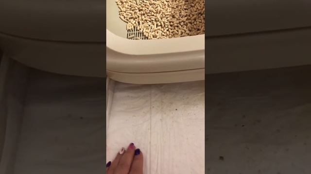 Туалет для кошек Као Сат Япония смотреть онлайн