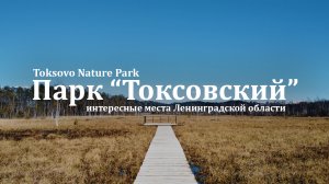 Поход выходного дня в окрестностях Питера. Природный парк "Токсовский".