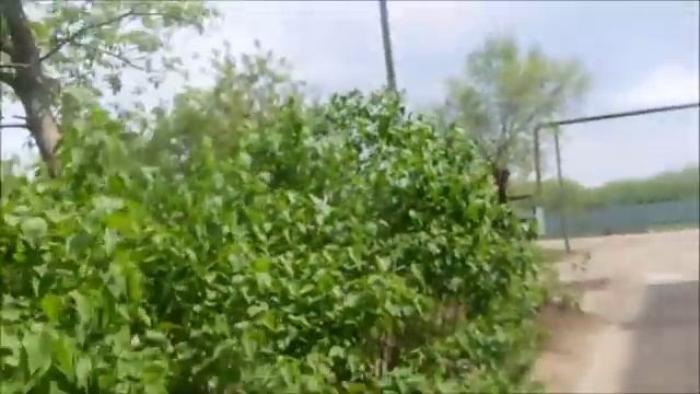 ВЛОГ. Немного покупок, в т.ч из Фикс Прайса. Одежда из Сэконда. Странный хот-дог. Наши няшечки смотреть онлайн