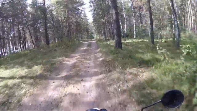 Спирино. Мотообзор. 3 Сентября 2019 г.