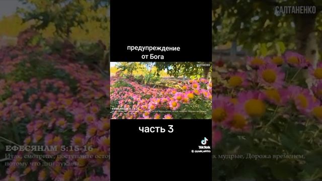 Предупреждение Господа смотреть онлайн