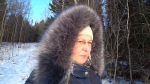 Увидели ГАЛО! Лес, поход. 6 дек 2021.