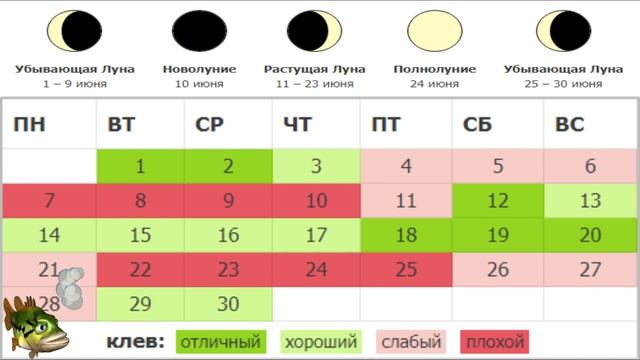 Календарь Рыбалки на Июнь 2021 Лунный Календарь Рыболова Июнь Какая рыба клюет в Июне.