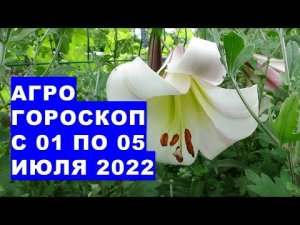 Агрогороскоп с 01 по 05 июля 2022 года