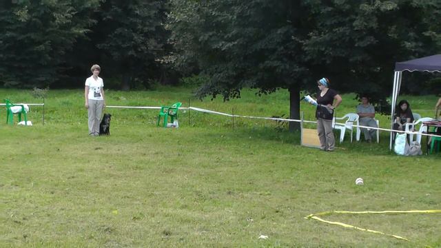 УСКЦ "Останкино" - обидиенс 10.08.2013 г. смотреть онлайн