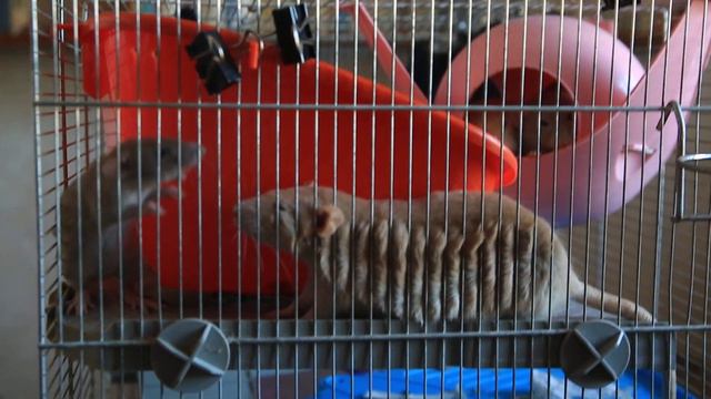 IMG 3265