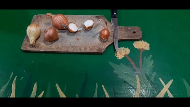 Лікарські рослини. Цибуля смотреть онлайн