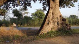 Village Life Of Sialkot ! Natural Beauty Of Sialkot ! Sialkot Village