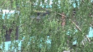 МАЗ-206 АО "Третий парк".  2024.06.10, автобус 32265 ОДИН из 5 бортов стоит со включенным двигателем