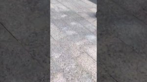 Яжемать в скейтпарке зеленоград, 17й микрорайон