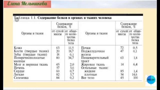 Белок  Лекция 8 смотреть онлайн
