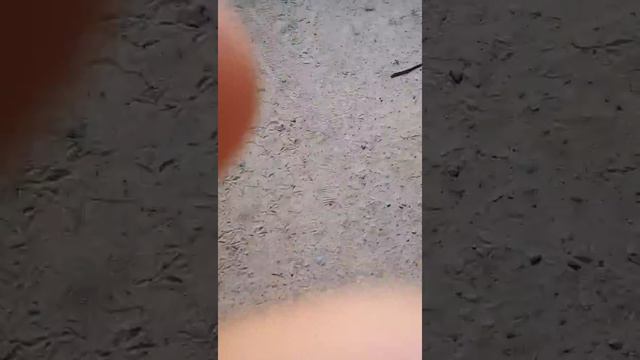 Всем дарова.сегодня видос немного больше чем вчера смотреть онлайн