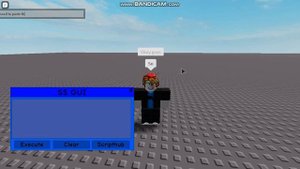 ROBLOX SS Executor (Script Works on Backdoor games)