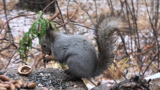 Не много осеннего снега смотреть онлайн