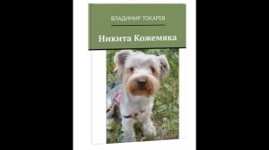 Как придумать сказочного персонажа лучше  Гарри Поттера