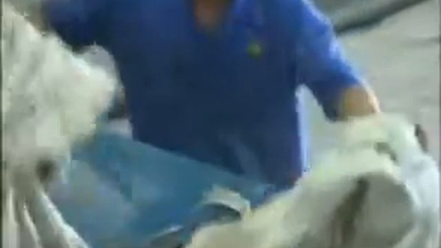 Моечная линия Биг-Бэг, ПП мешков смотреть онлайн