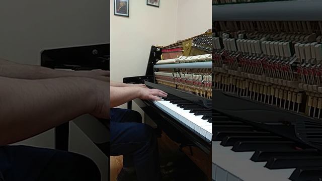 После настройки. Немного Хисаиши в свободном стиле смотреть онлайн