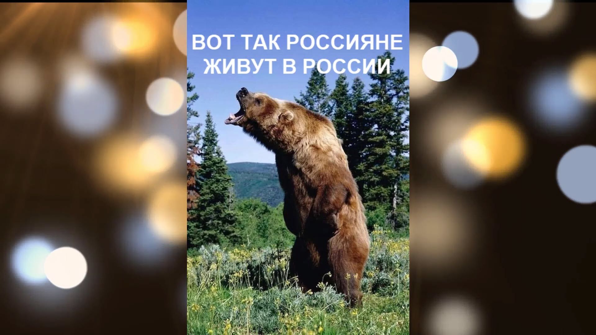 Вот так россияне живут в России.mp4 смотреть онлайн