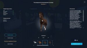 Покупка ГОЛЛАНДСКОЙ полукровной лошади в Star Stable | Игра про лошадей