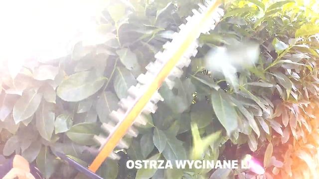 WORX WG286E 40V BEZPRZEWODOWE NOŻYCE DO ŻYWOPŁOTU PL смотреть онлайн