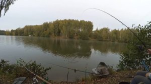 Фидерная рыбалка в конце сентября. Холодно, но рыба клюет.