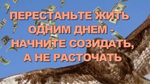 Поиграем в Карамболь