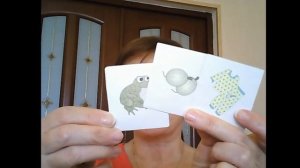 Логопедическое занятие:  Дифференциация звуков Ш - Ж