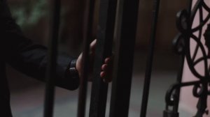 Пепельный Свет "Питер"