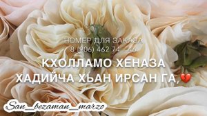 Дог дохош къастийча хьай дагна везначух хьо
