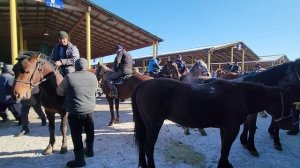 Чорва базар, рынок домашнего скота в Узбекистане.