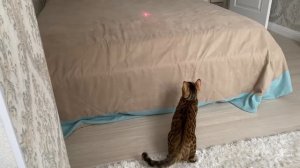 Мой честный отзыв на кольцо от БРИЛЛИАНТЫ ЯКУТИИ, не ожидал такого качества в Санлайт!