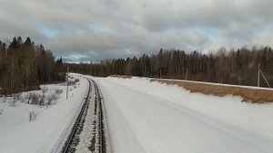Разъезд "Теребутенец". Перегон Киприя-Неболчи. 05.03.2021г.