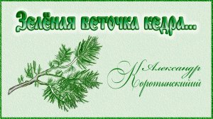 А.Коротынский - Зелёная веточка Кедра