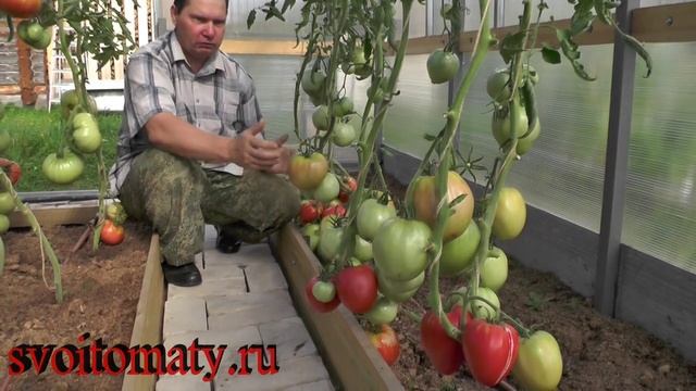 Гигант Подмосковья