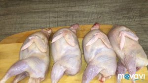 Забой перепелов породы Феникс 1 часть.