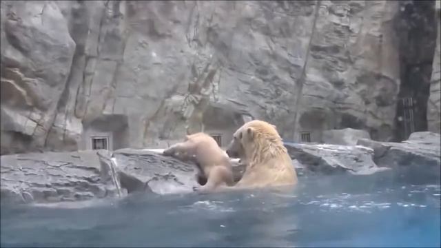 Заботливая мама