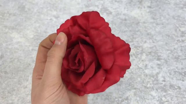 Головка розы бордо