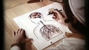 КОКЛЮШ у детей, симптомы, лечение. Академик Нисевич Н.И. © pertussis