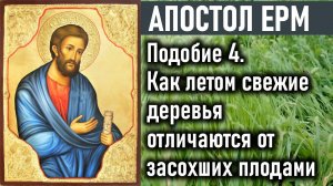 Как летом свежие деревья отличаются от засохших плодами и зелеными листьями / Апостол Ерм (Ерма)