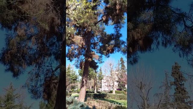 Saint Anthony Church Central Greece- Άγιος Αντώνιος-Церковь Святого Антония Центральная Греция